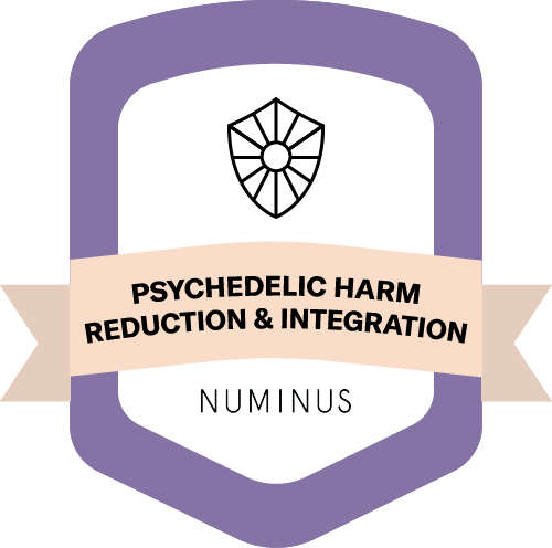 psychedelic harm reduction integration